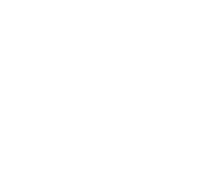 WireTech логотип (белый)